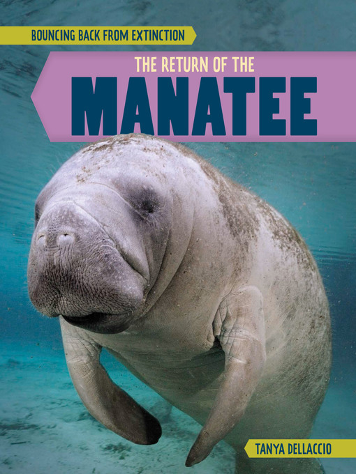 Cover image for The Return of the Manatee